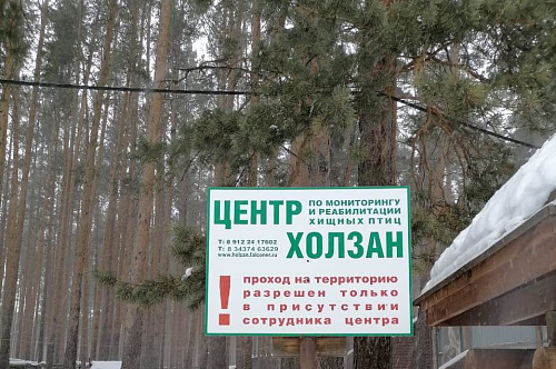 Уральское управление Росприроднадзора ведет проверку «Центра по мониторингу и реабилитации хищных птиц «Холзан»